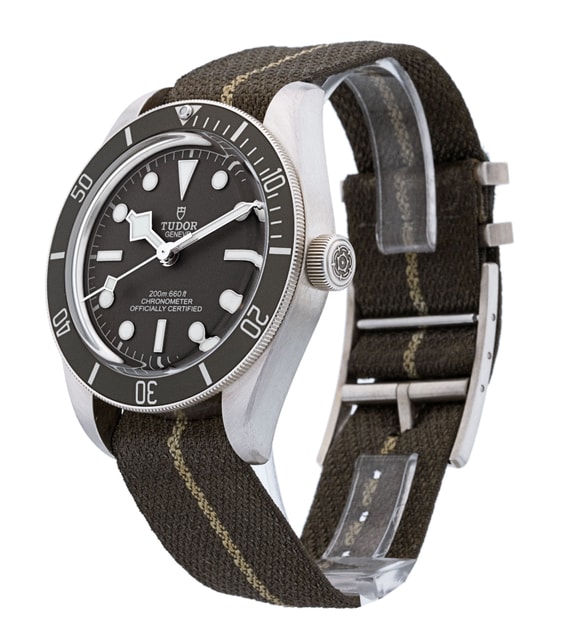 Tudor Black Bay 58 M79010SG-0002 Image 2